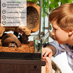 SunGrow Crested Gecko Coconut Huts inside tank demonstrates versatile habitat decor for climbing.
