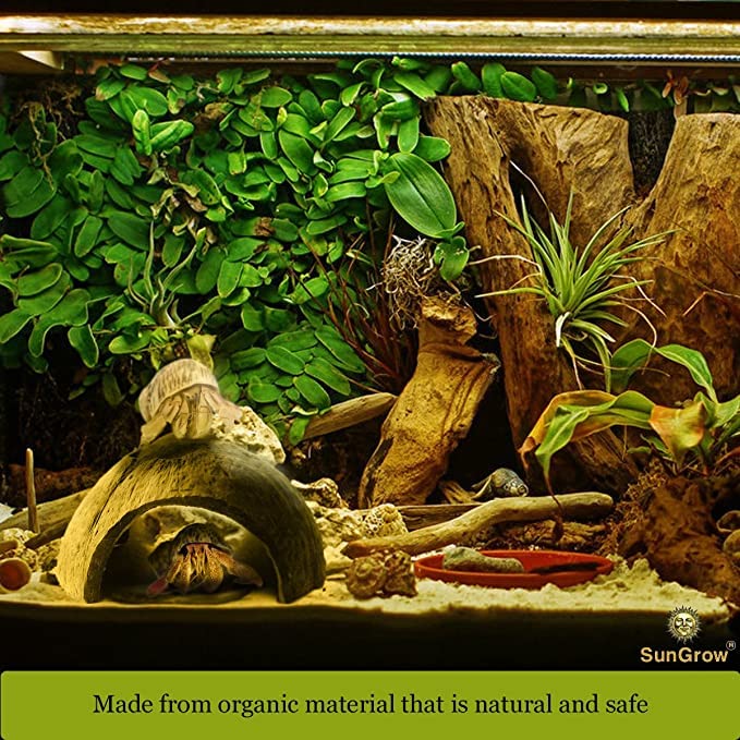 SunGrow Crested Gecko Coconut Huts perching basking view emphasizes elevated lounging spots.