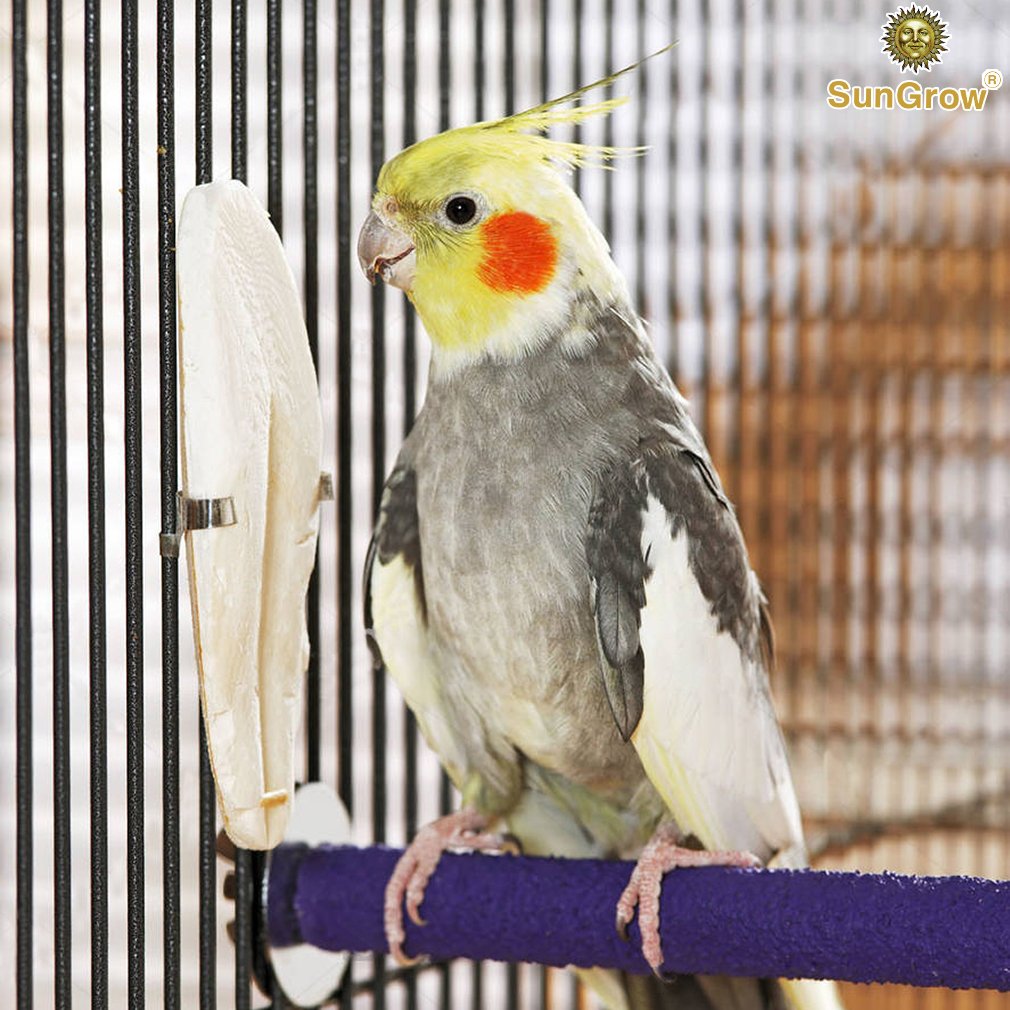SunGrow cuttlebone beak trimming texture helps keep beaks sharp and healthy