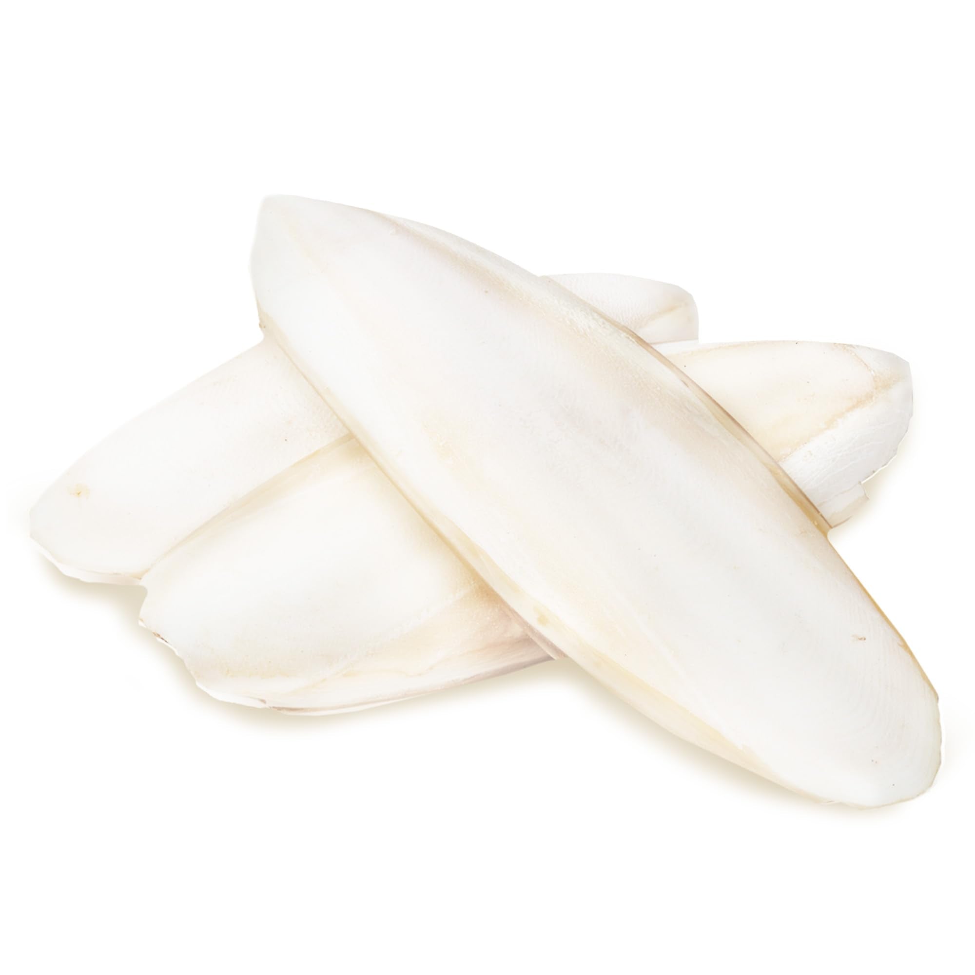 SunGrow sungrow cuttlebone with grainy texture aids beak trimming.