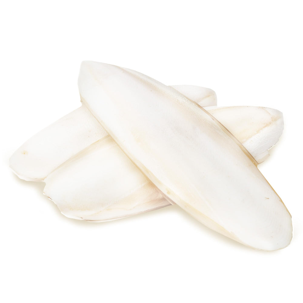 SunGrow sungrow cuttlebone with grainy texture aids beak trimming.