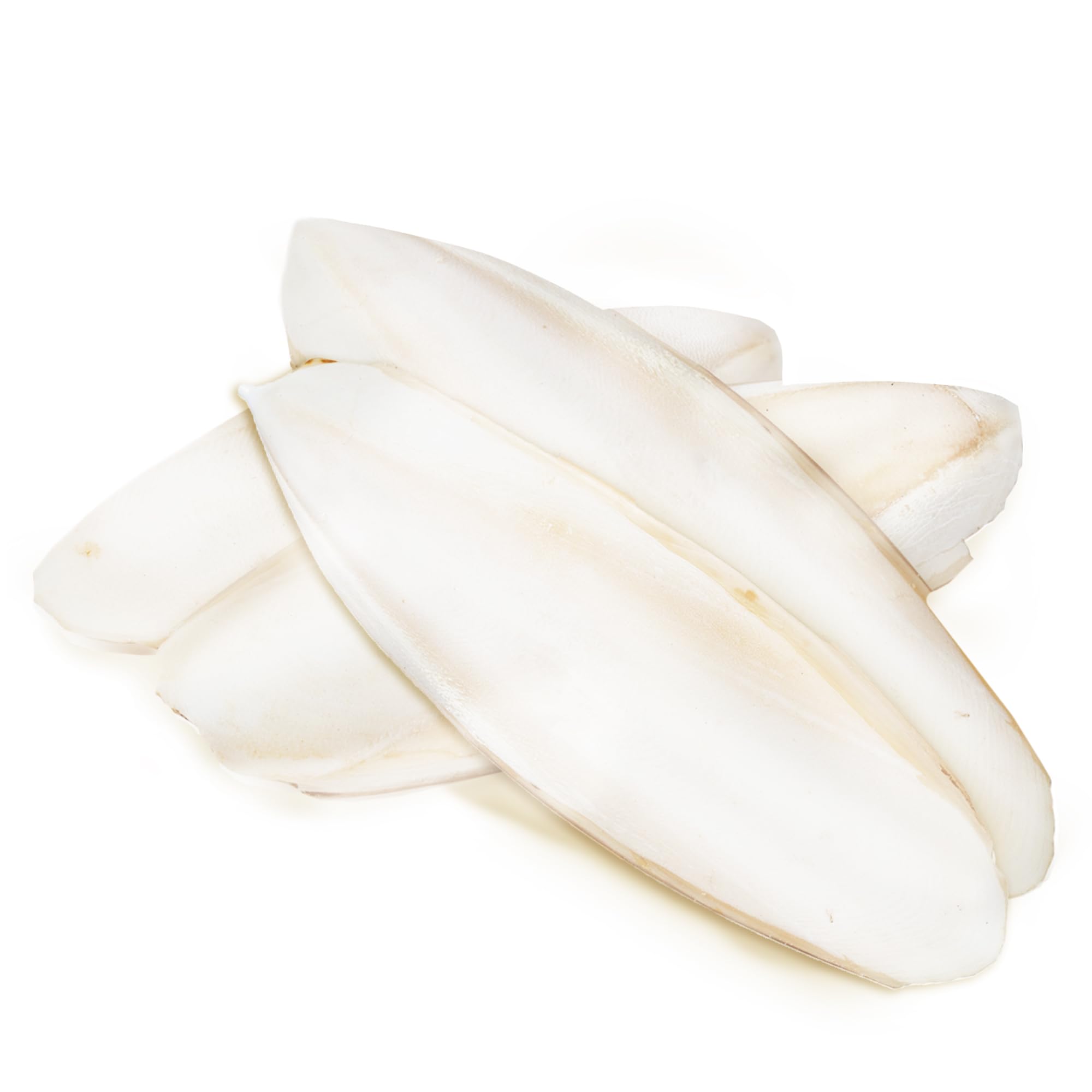 SunGrow multi-pet cuttlebone pack offers versatile enrichment and calcium in one