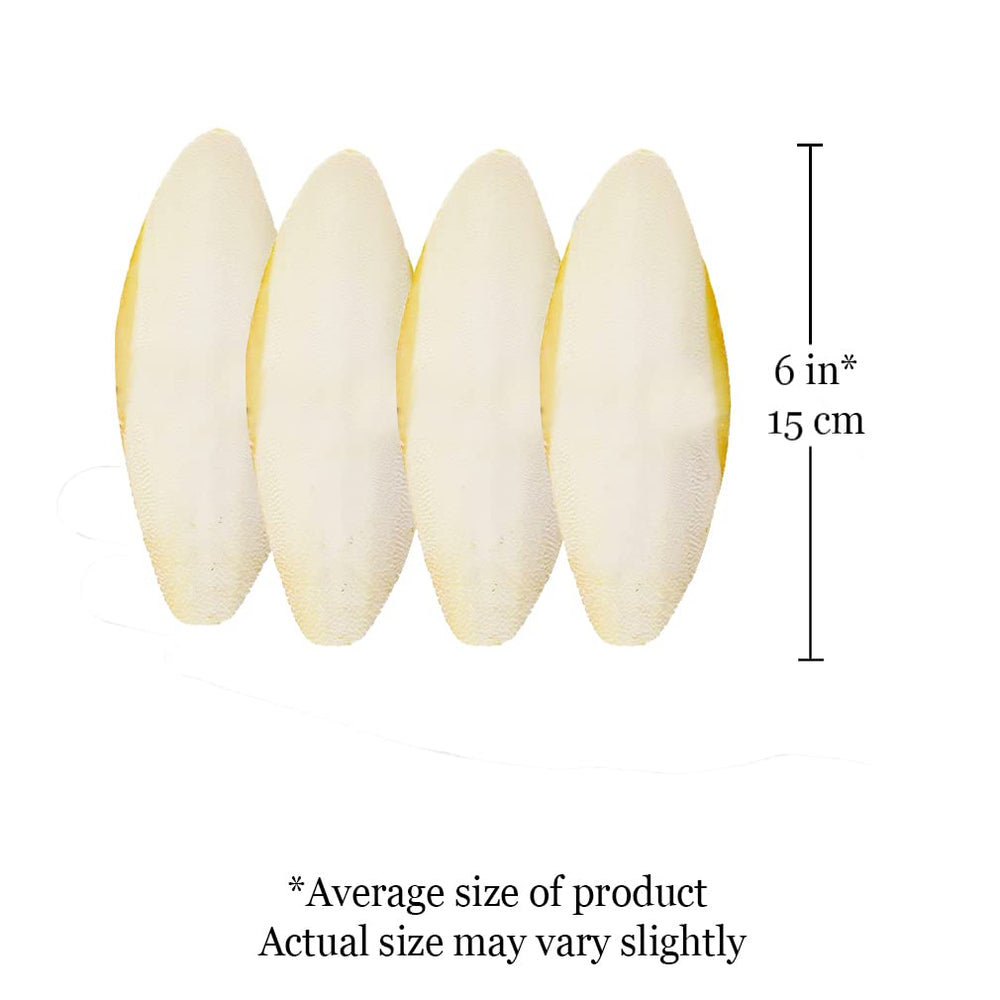 SunGrow cuttlebone shell health for birds supports shells and plumage quality