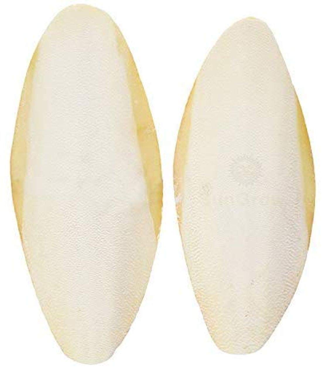 SunGrow cuttlefish bone 6in pack front view shows calcium-rich bone for pets