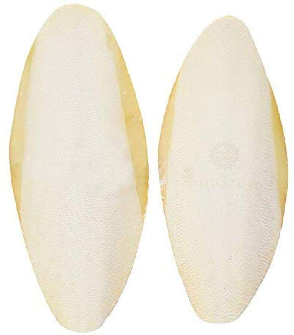 SunGrow cuttlefish bone 6in pack front view shows calcium-rich bone for pets