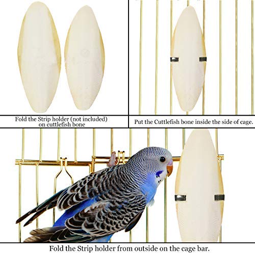SunGrow cuttlefish bone beak-enrichment visual emphasizes beak wear benefits