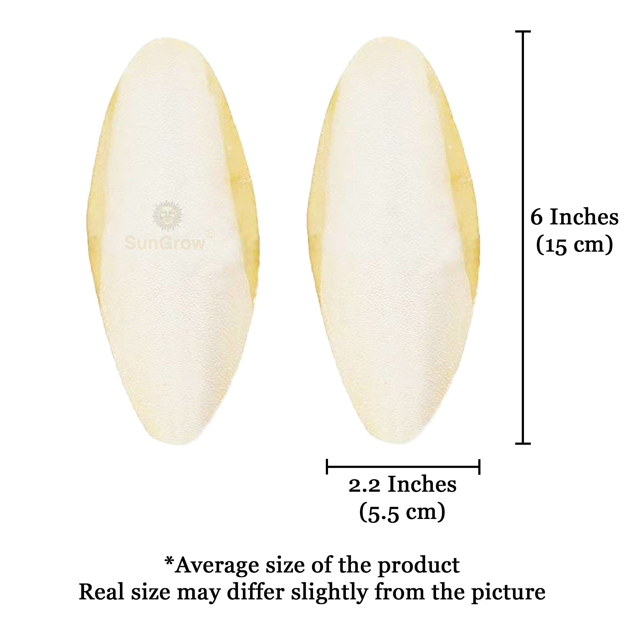 SunGrow cuttlefish bone shell-strength turtle-snail view illustrating shell support