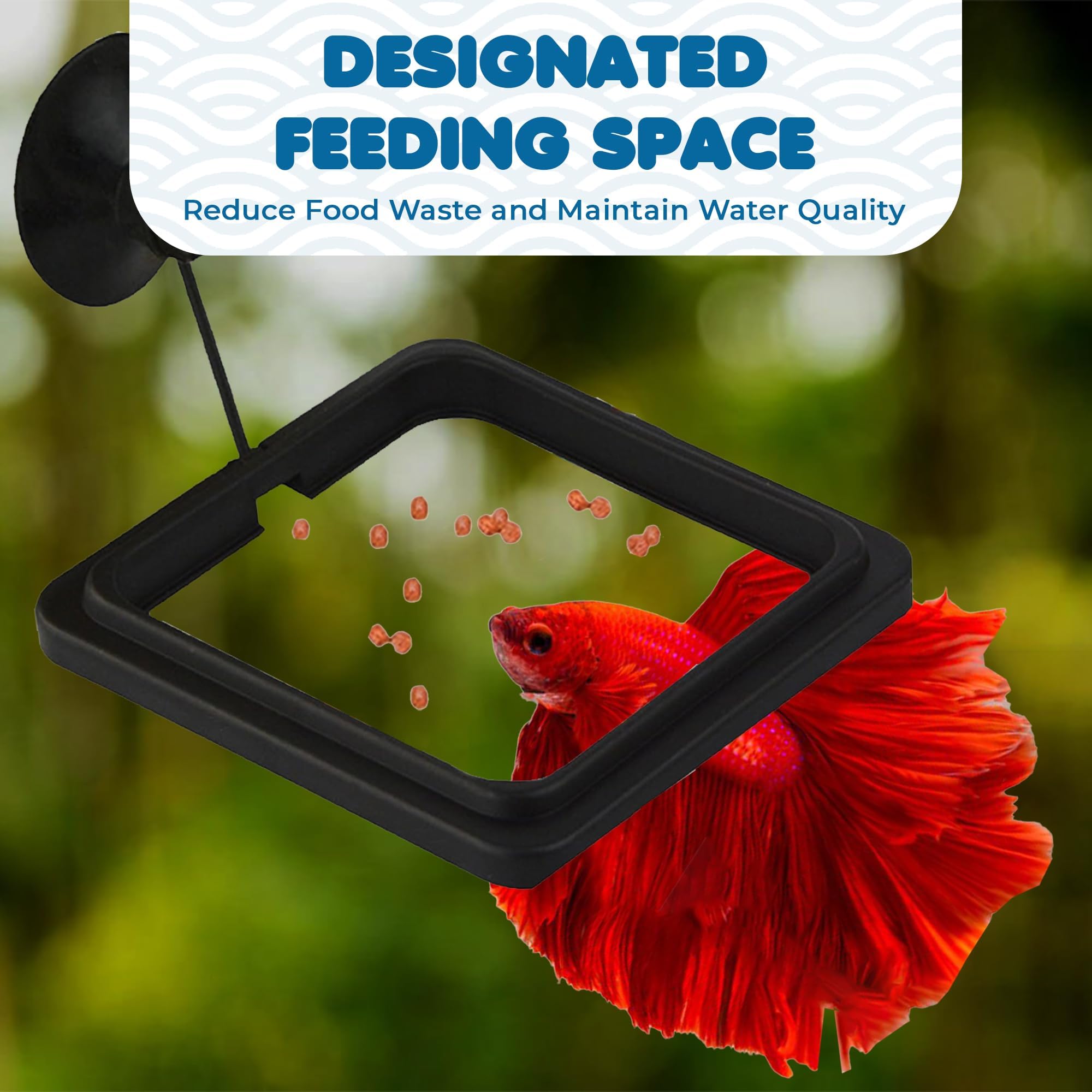 SunGrow debris-control-ring image shows contained food reducing tank debris.