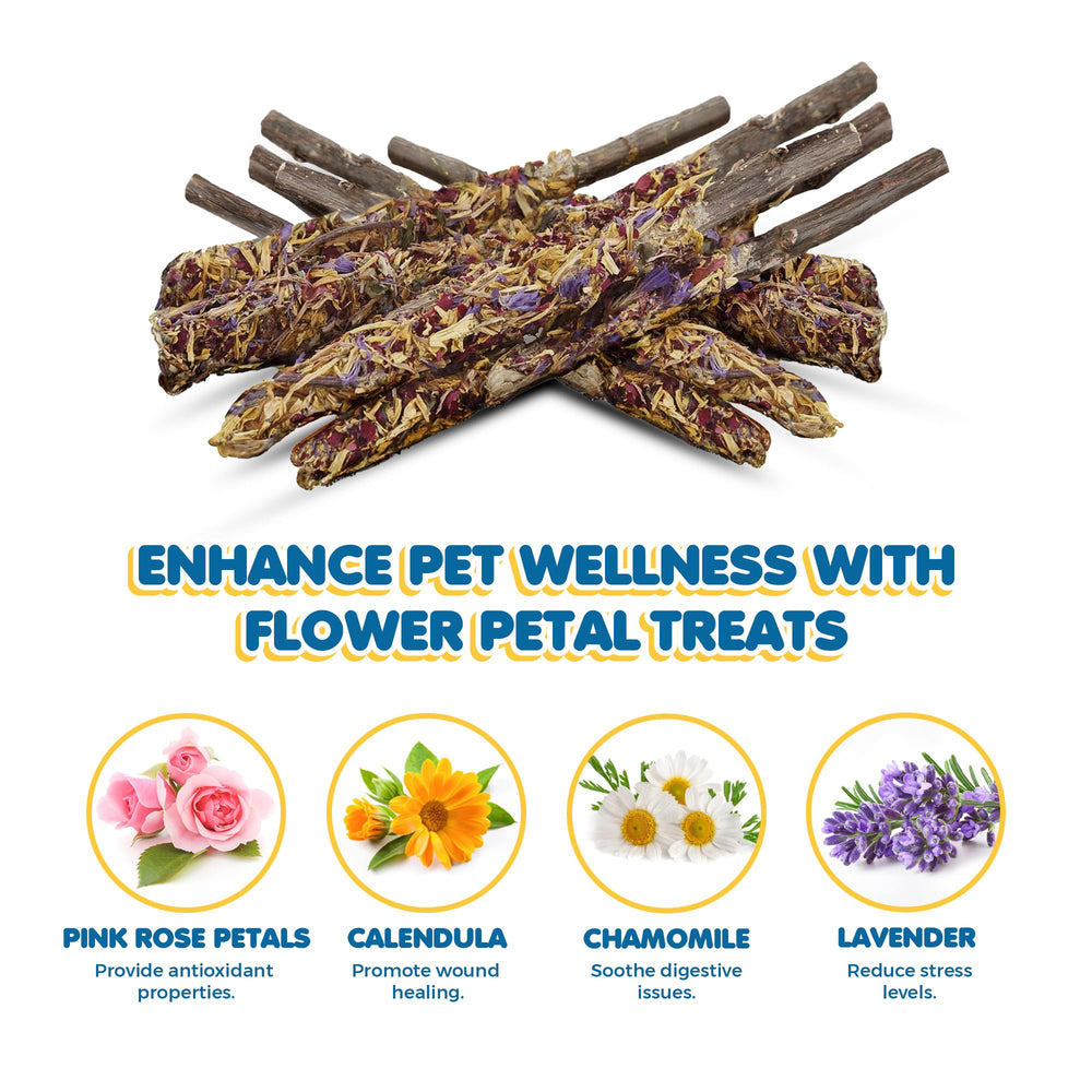 SunGrow Digestive-friendly chew roughage and vitamins from apple wood for small pets