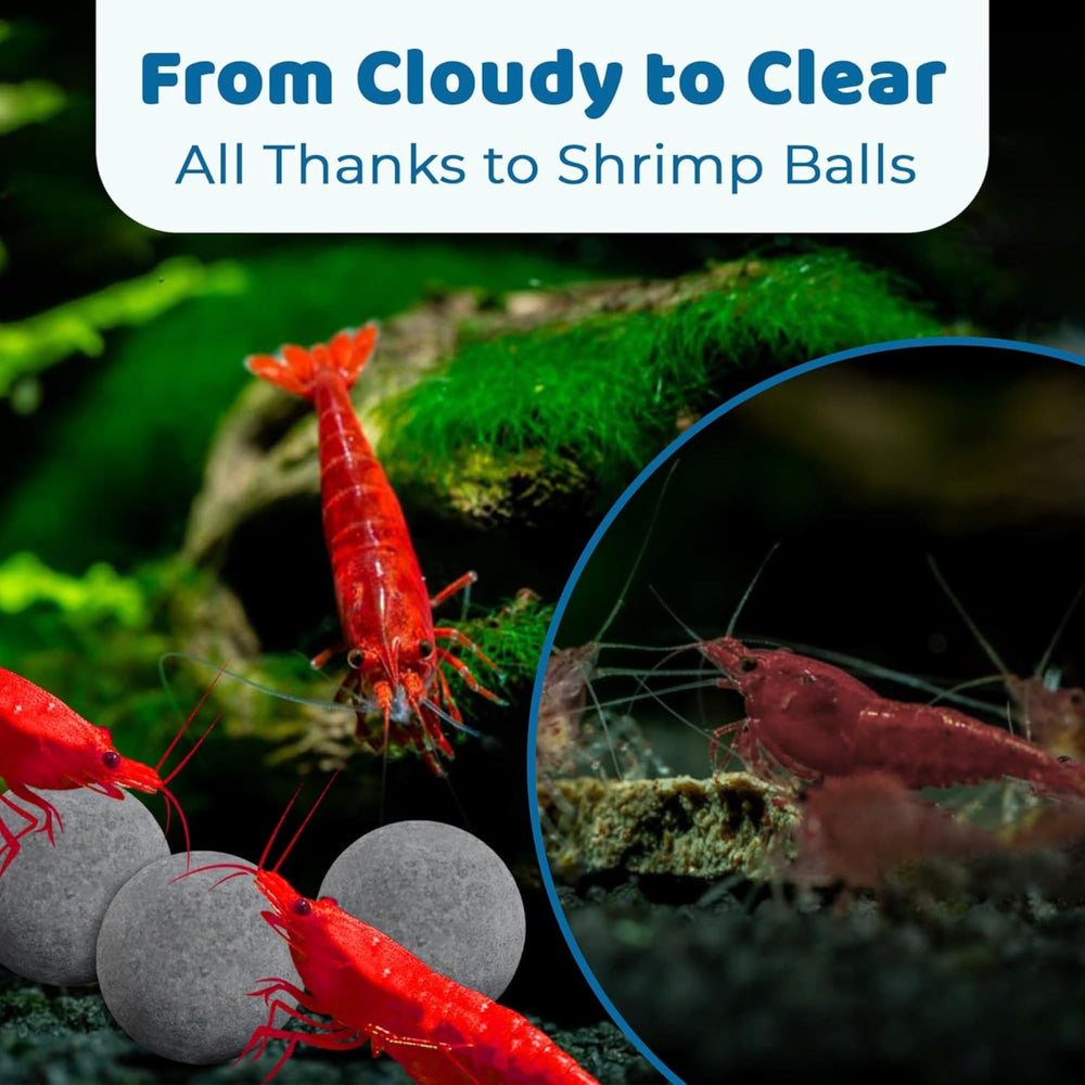 SunGrow discreet aquarium decor balls blend with tank design without clutter
