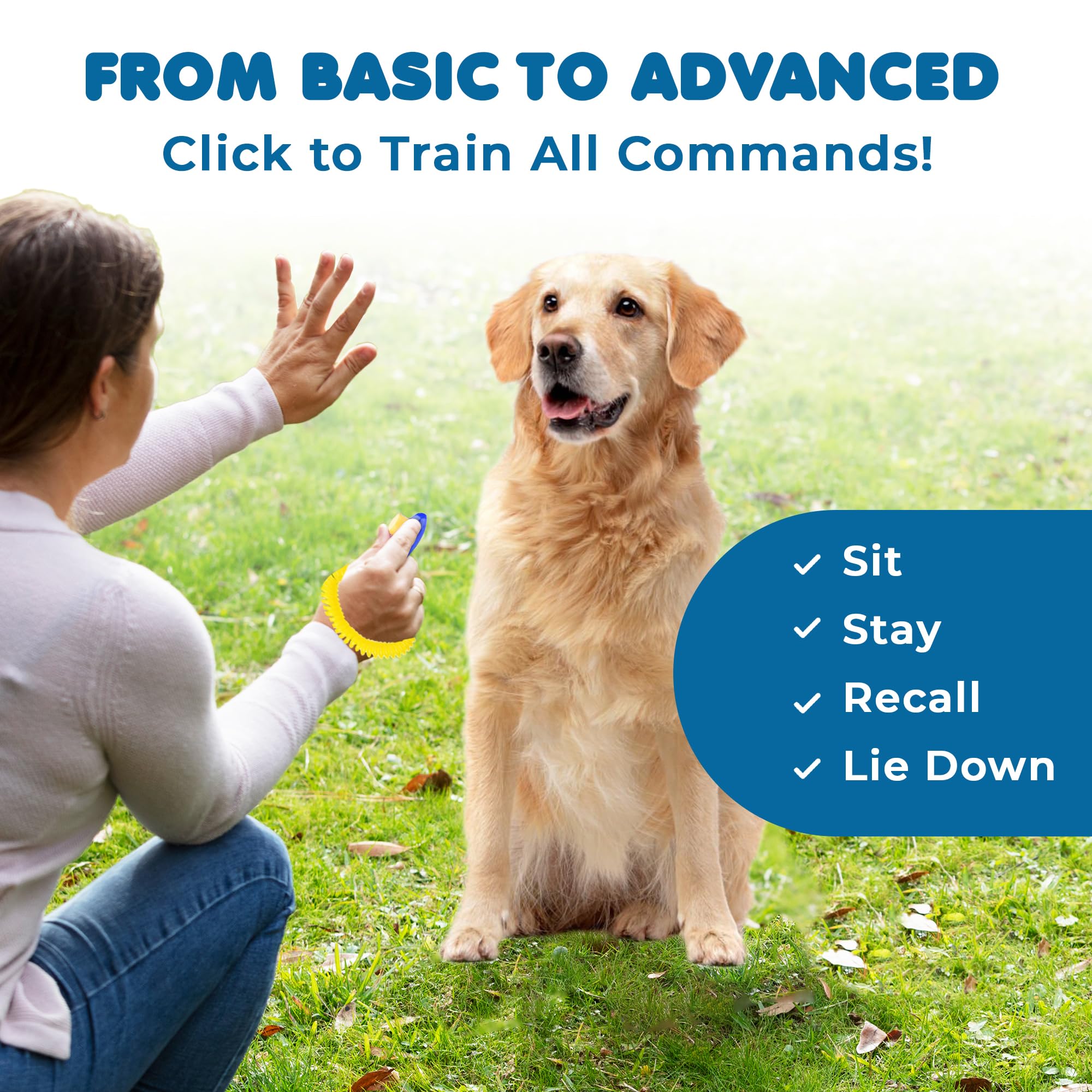 SunGrow dog clickers in multicolor pack on a leash demonstrates versatile set for different rooms.