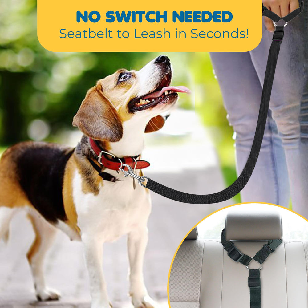 SunGrow dog leash handle doubles as handheld for walks