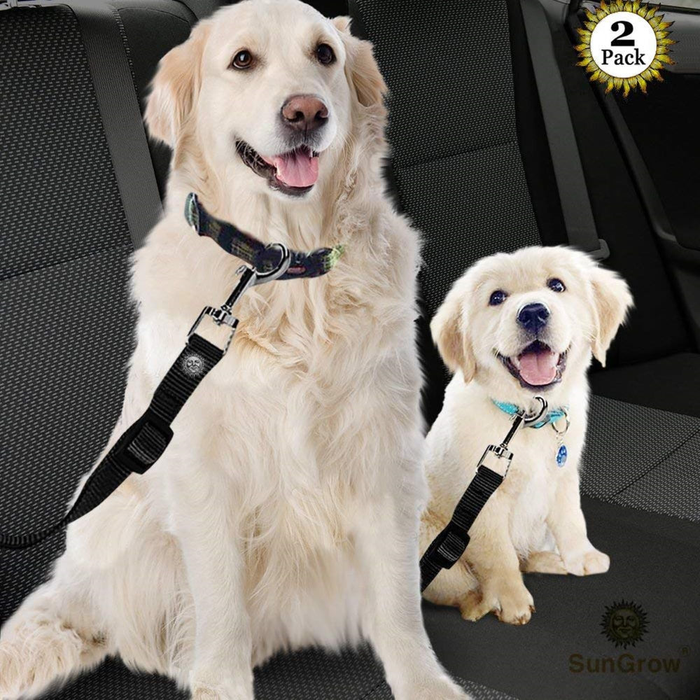 SunGrow adjustable-length strap shown beside a harness for customizable fit.