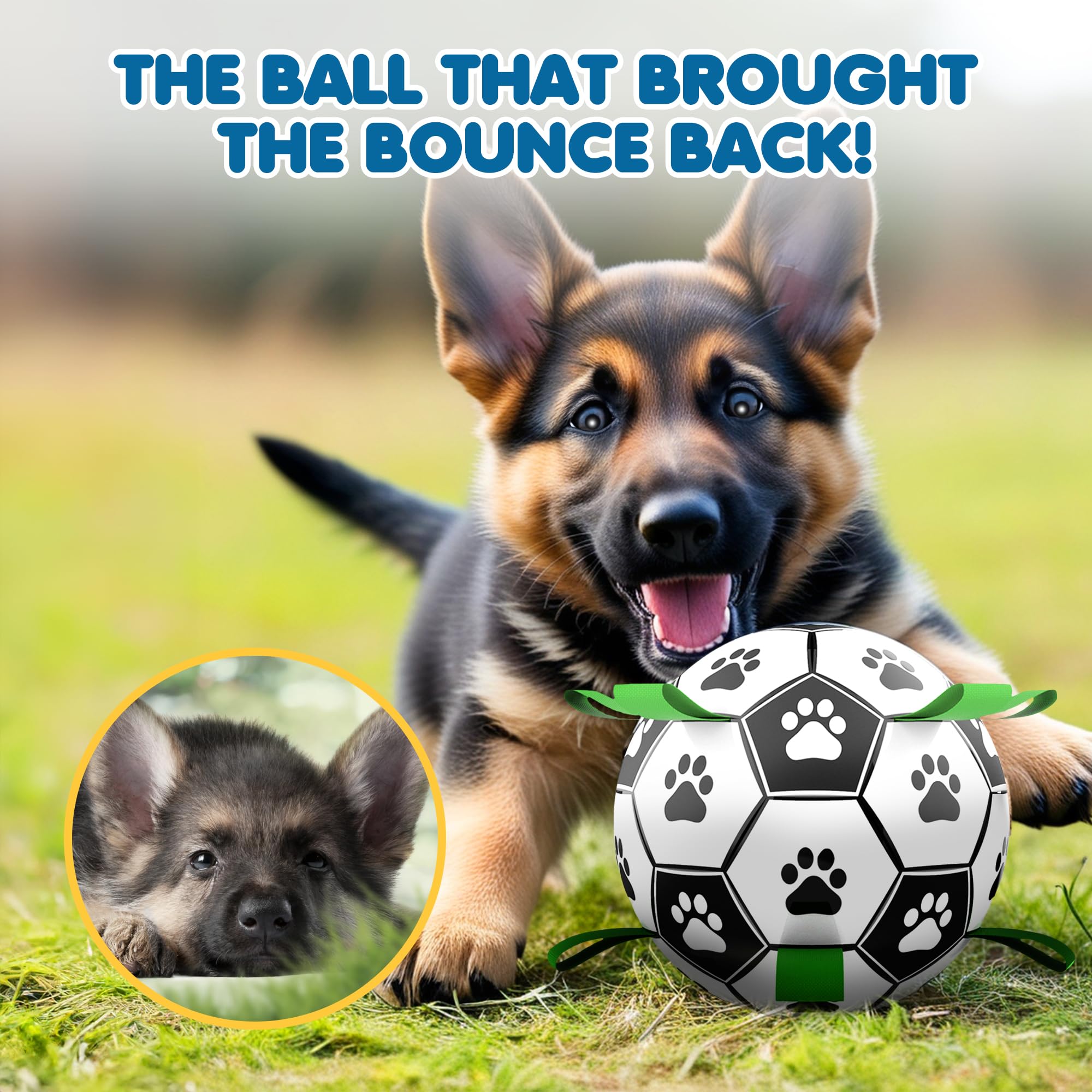 SunGrow dog soccer ball in-action demonstrates fetch and physical activity