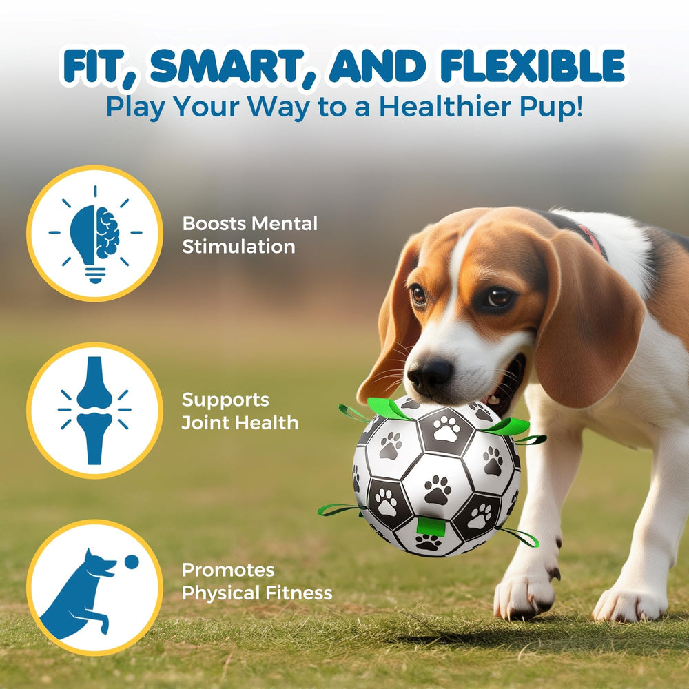 SunGrow dog soccer ball grab tabs close-up shows easy pickup