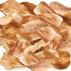 SunGrow dried Indian almond leaves for aquarium tea water tint and calm aquatic pets.