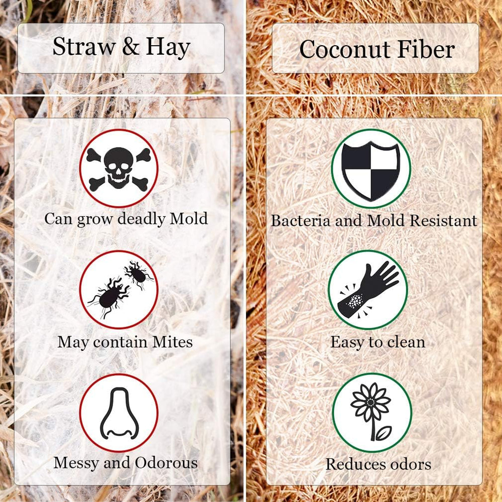 SunGrow durable coconut fiber bed resists wear for long-term terrarium use.