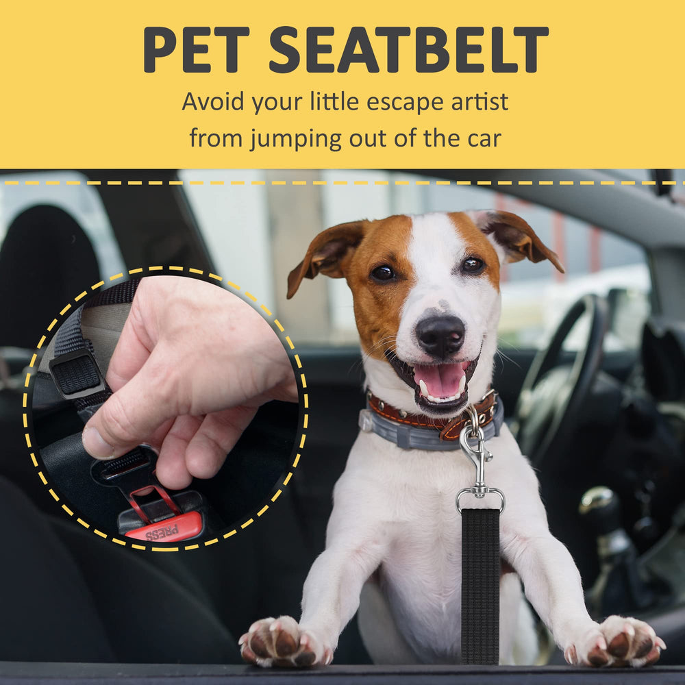 SunGrow durable nylon construction highlighted for long-lasting pet safety.
