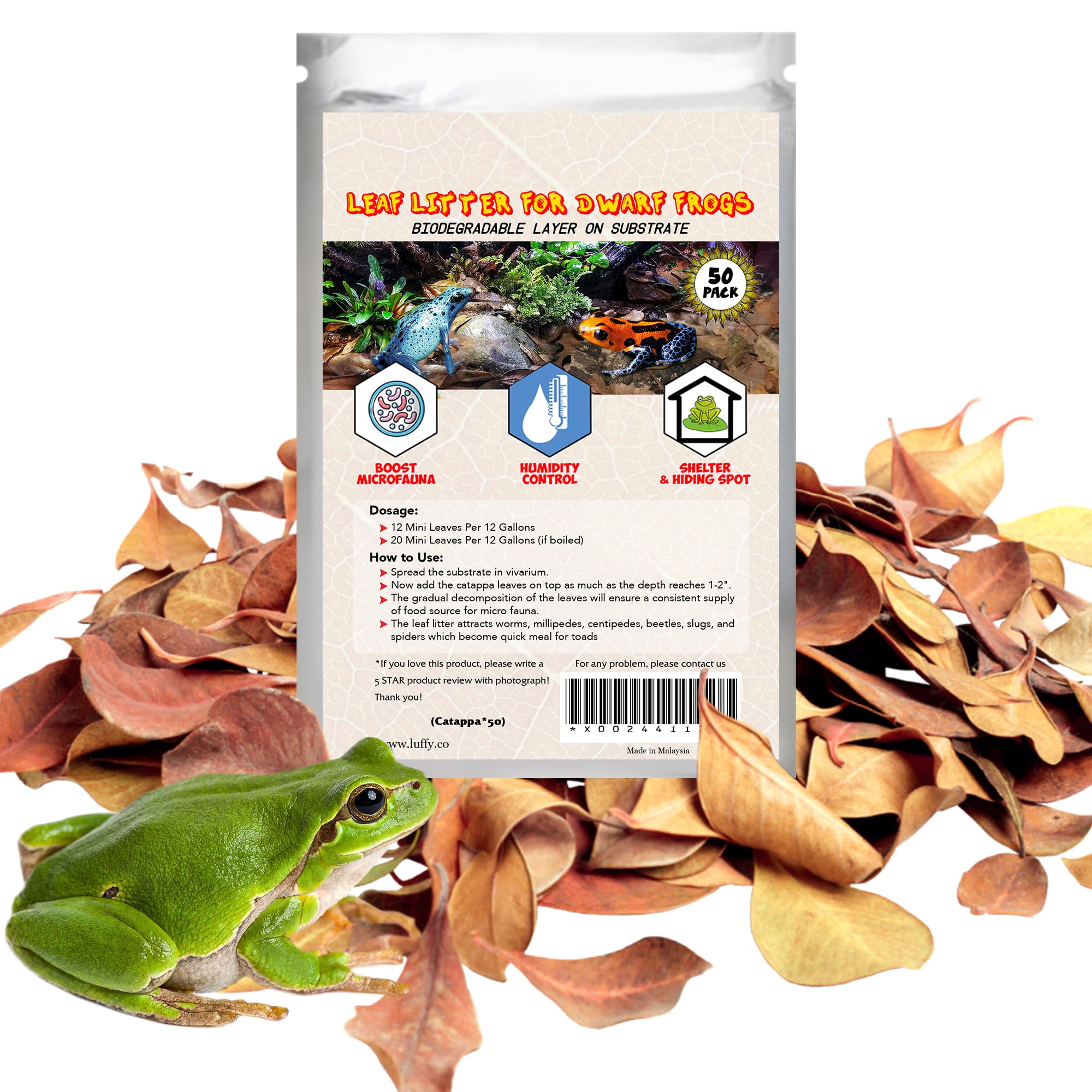 SunGrow Dwarf Frog Catappa leaves pack on substrate offers natural cover and tannin benefits.