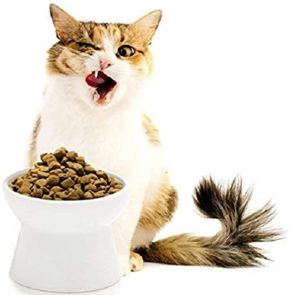 SunGrow stoneware resists odors and simplifies cleaning after meals.