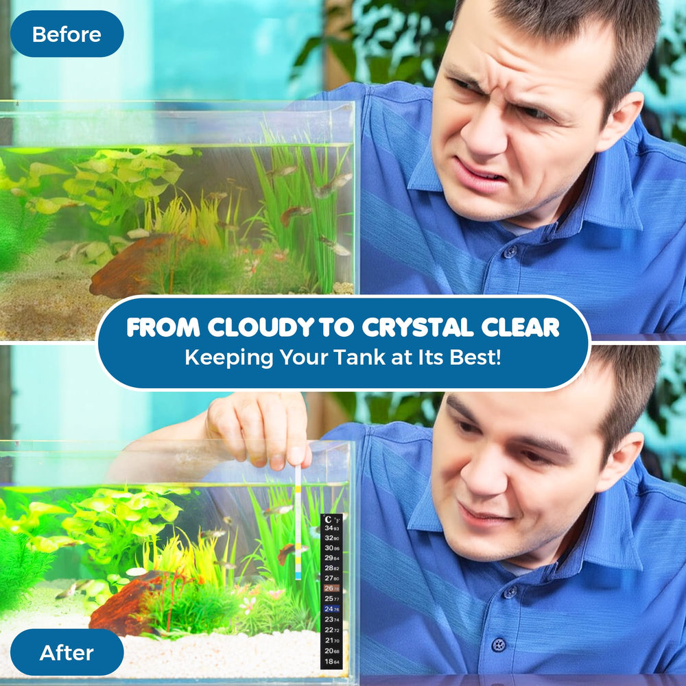 SunGrow easy setup guide helps beginners and experienced fish keepers