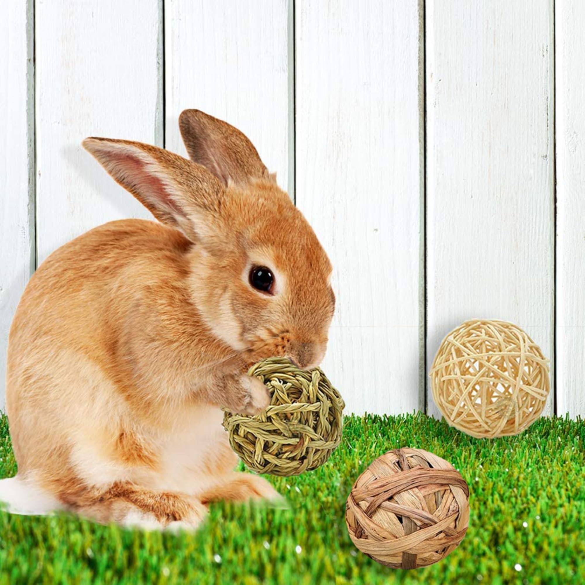 SunGrow rabbit chew ball made with environment-friendly materials