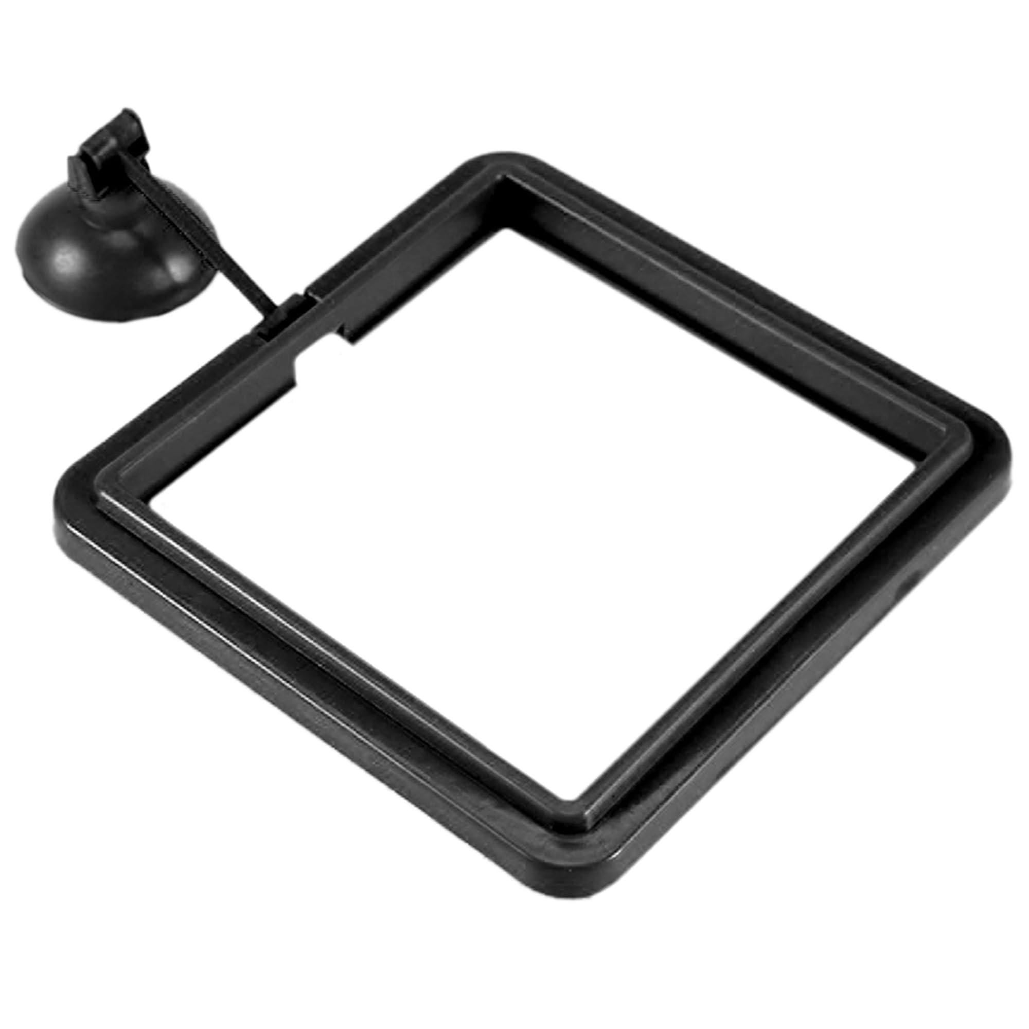 SunGrow feeding ring on tank creates calm feeding zone for picky eaters and reduces waste.
