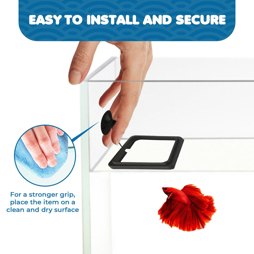 SunGrow floating-ring-option demonstrates surface feeding accessibility for surface-dwelling fish.