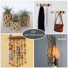 SunGrow gecko and bearded dragon setup features textured surfaces for exploration.