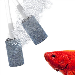 SunGrow gentle bubble streams illustrate calming aeration in home aquariums.