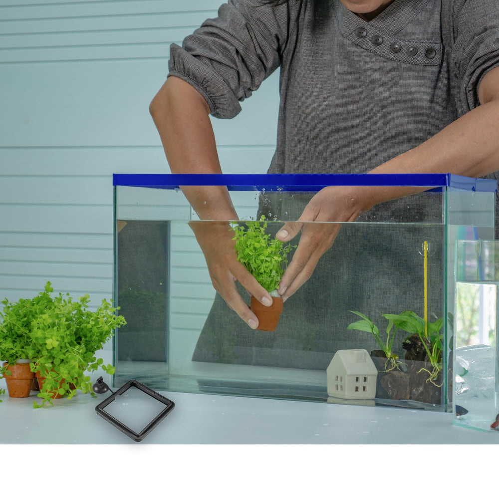 SunGrow goldfish-guppy-betta-feeding-ring targets multiple species feeding options.