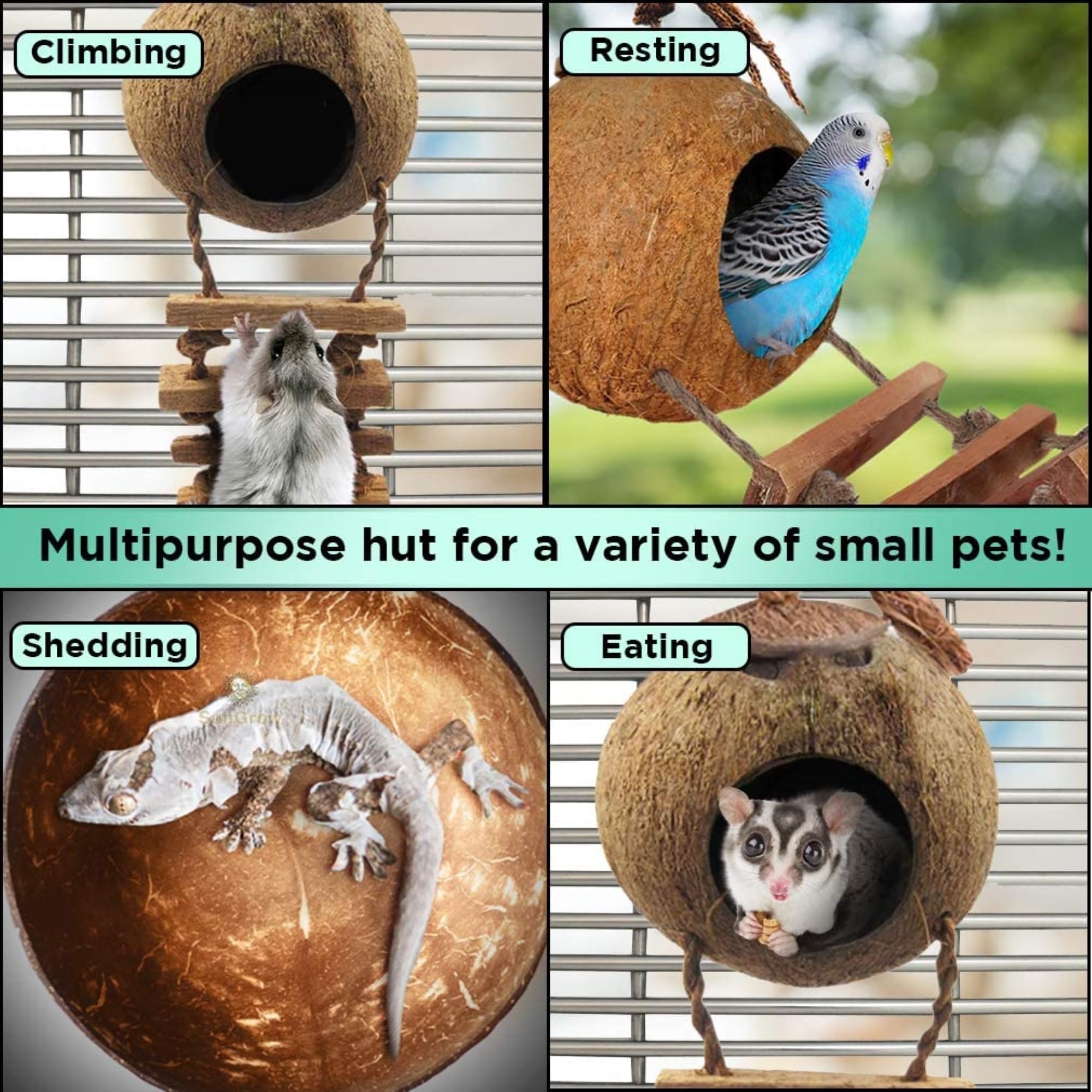 SunGrow habitat setup with crab demonstrates versatile coconut shelter in tank.