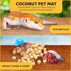 SunGrow hermit crab-friendly mat provides textured surface for exploration and habitat enrichment.