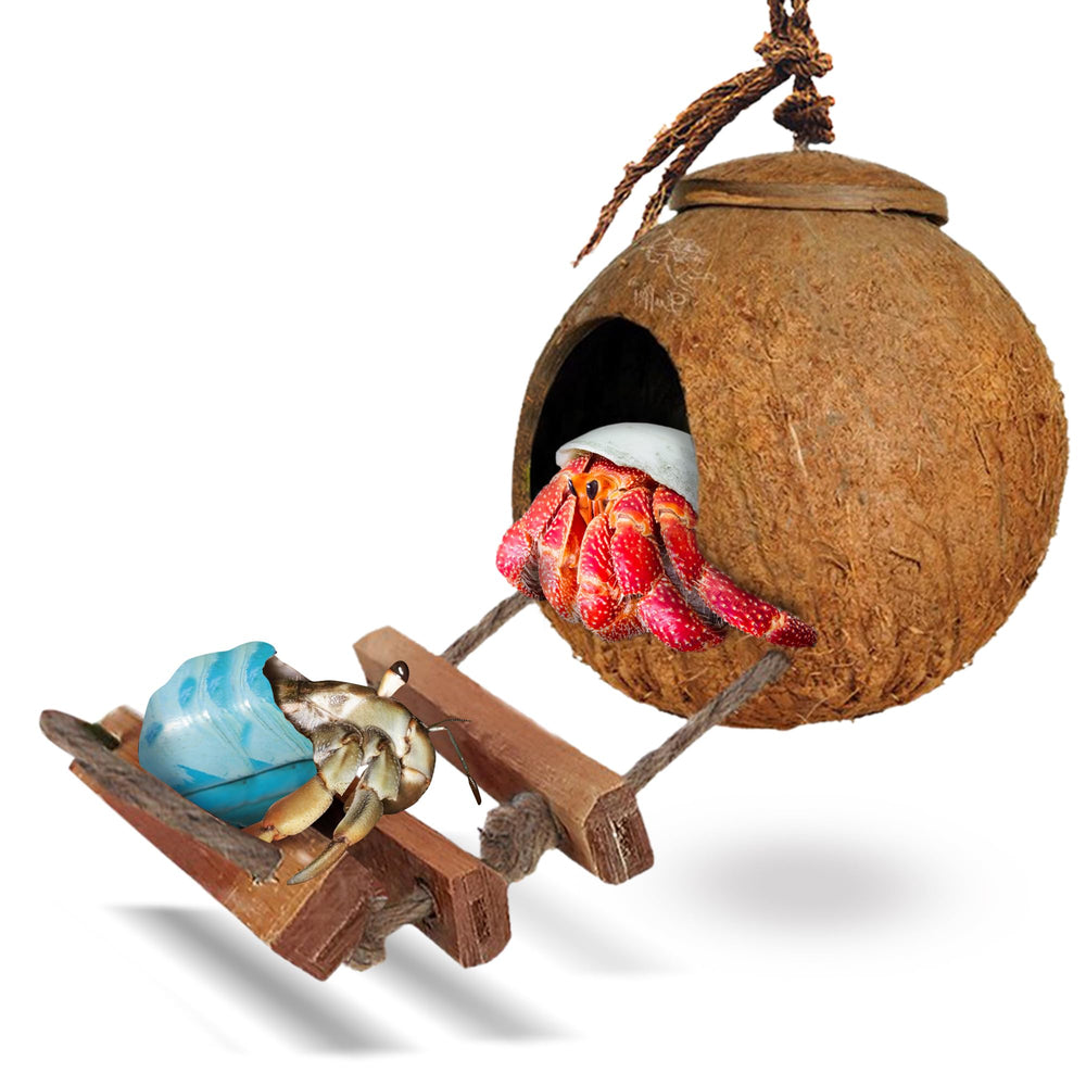 SunGrow hermit-crab coco hut ladder shows a climbing-friendly hideout for enrichment.