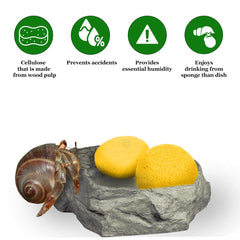 SunGrow cellulose sponge material is lightweight and durable