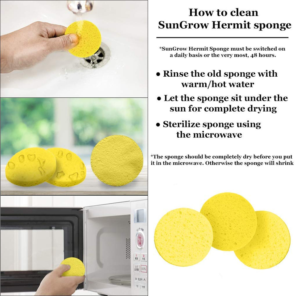 SunGrow sponges in crabitat support safe climbing and moisture balance