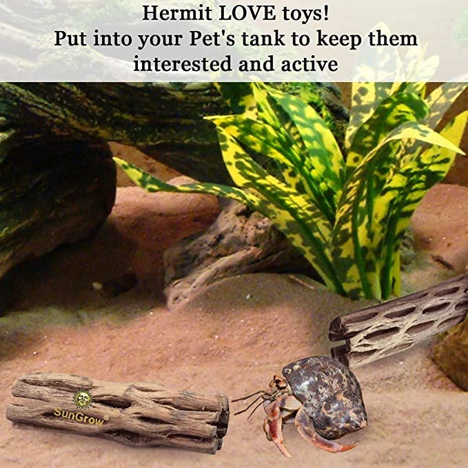 SunGrow Hermit Crab Woods raw-dried-cholla offers textured surfaces for interest and exploration.