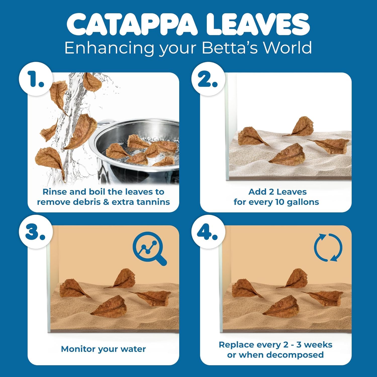 SunGrow catappa leaves serve as decorative habitat-friendly aquarium décor.