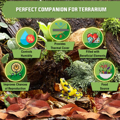 SunGrow leaf litter frogs habitat demonstrates realistic terrarium scene and camouflage.