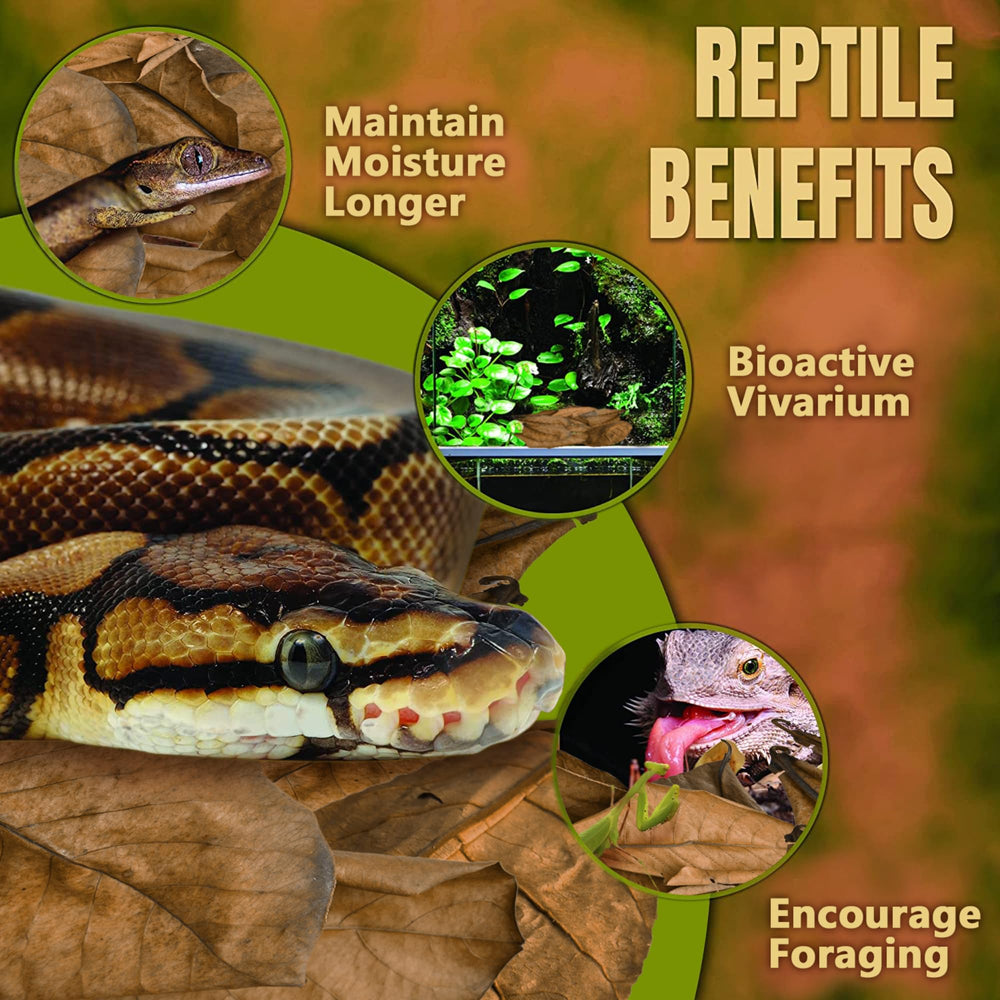SunGrow leaf litter attracts microfauna and enriches the habitat's natural food web.