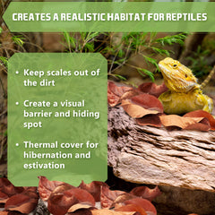 SunGrow leaf litter provides visual barrier and hopping-friendly substrate.