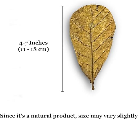 SunGrow leaf litter helps maintain humidity and enhances substrate aesthetics in enclosures.