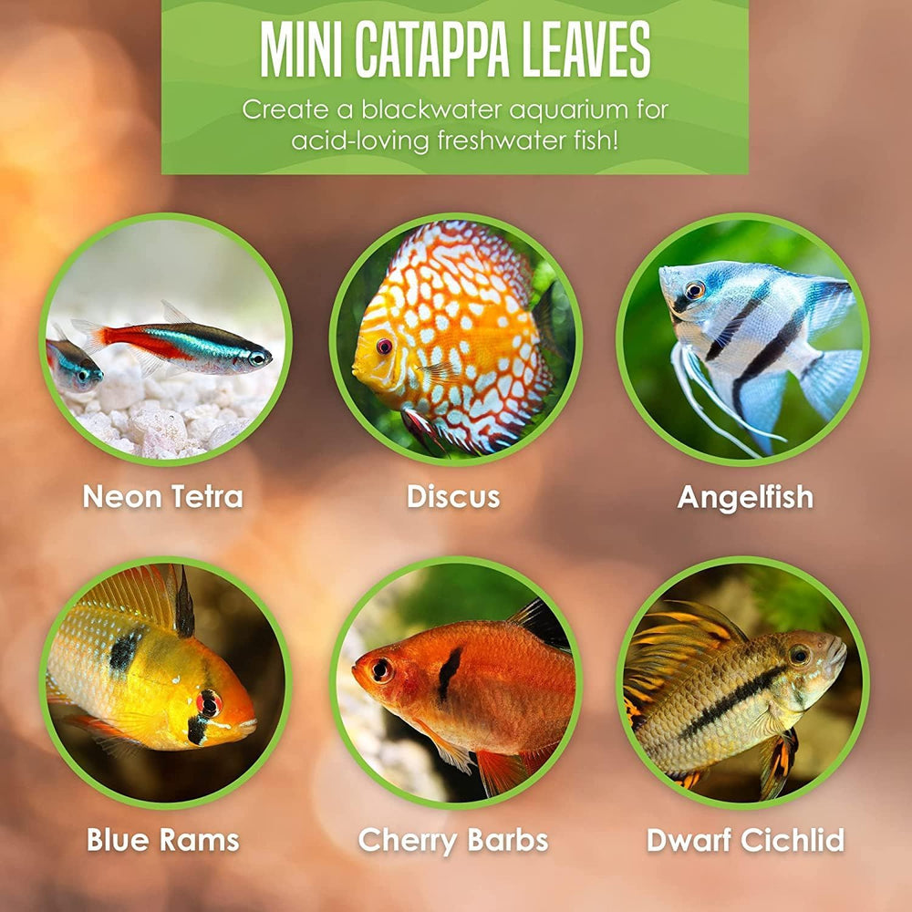 SunGrow leaves suit shrimp, goldfish, and guppy tanks as natural habitat enhancers.