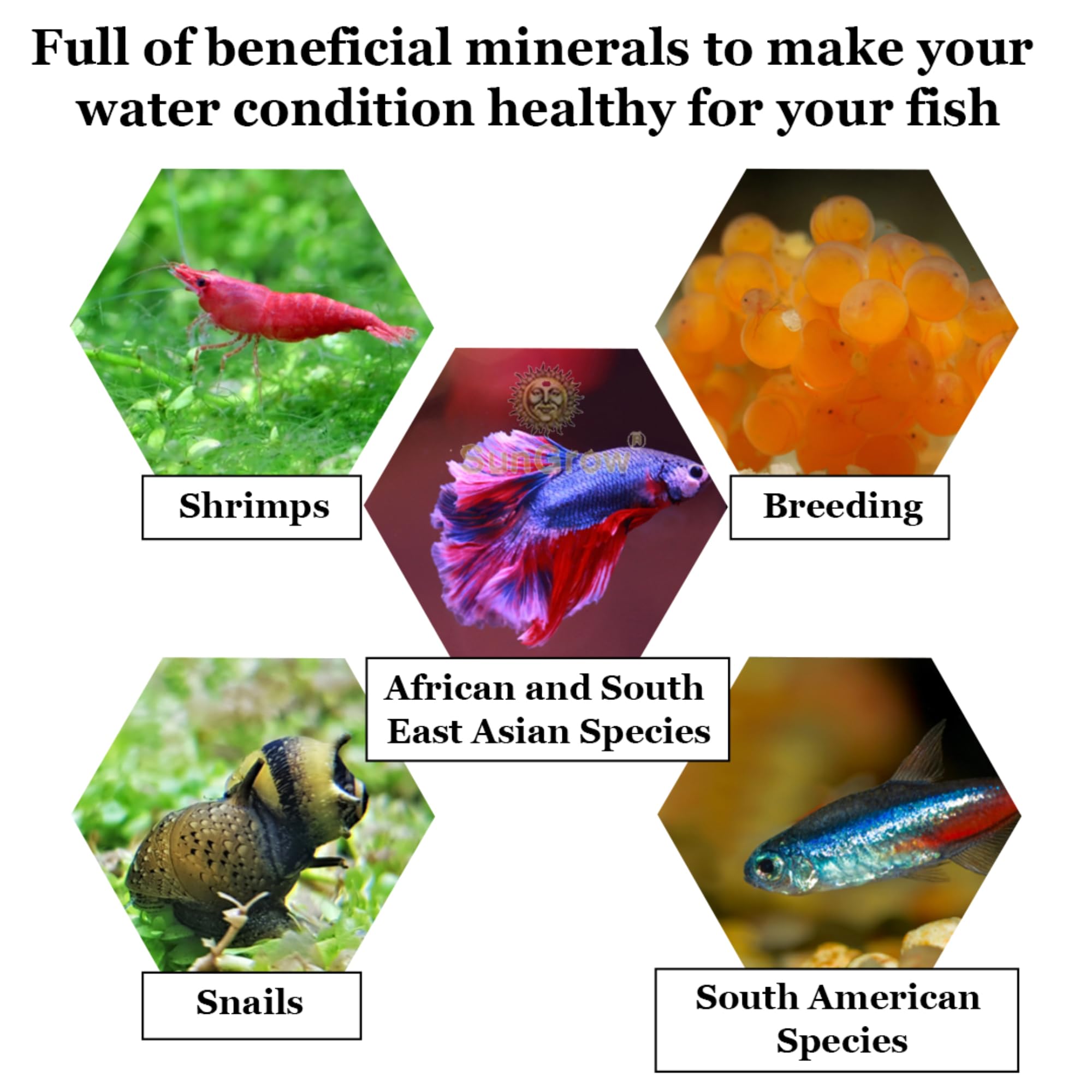 SunGrow leaves for many-species image demonstrates compatibility with snails, fish, and shrimp.