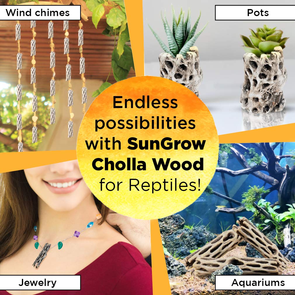 SunGrow leopard gecko hides behind cholla wood teepee structure