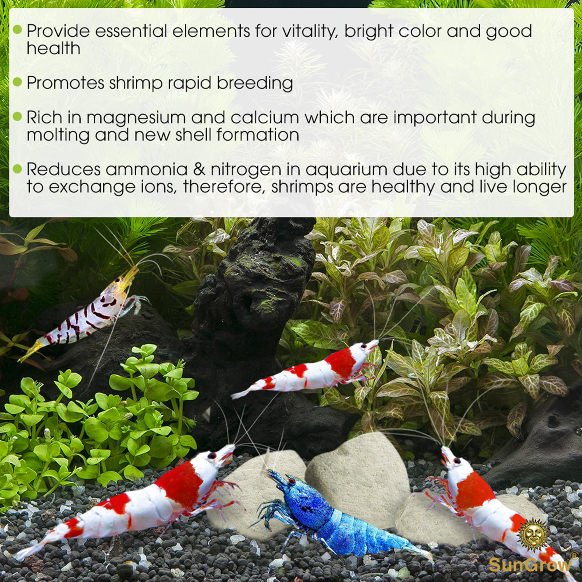 SunGrow Magnesium Rocks closeup showing mineral-rich texture supporting crustacean vibrancy