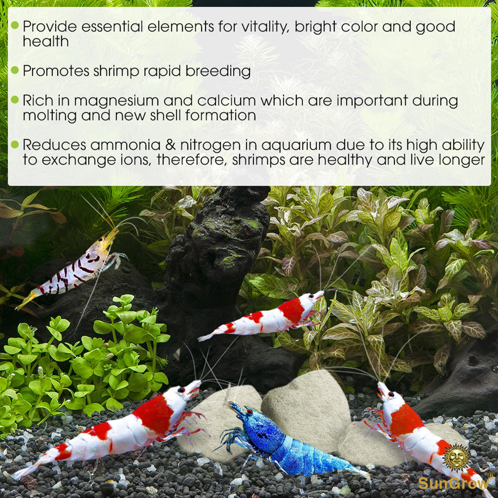 SunGrow Magnesium Rocks closeup showing mineral-rich texture supporting crustacean vibrancy
