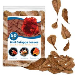 SunGrow mini Catappa leaves bundle showing natural habitat enrichment and tea-colored water.