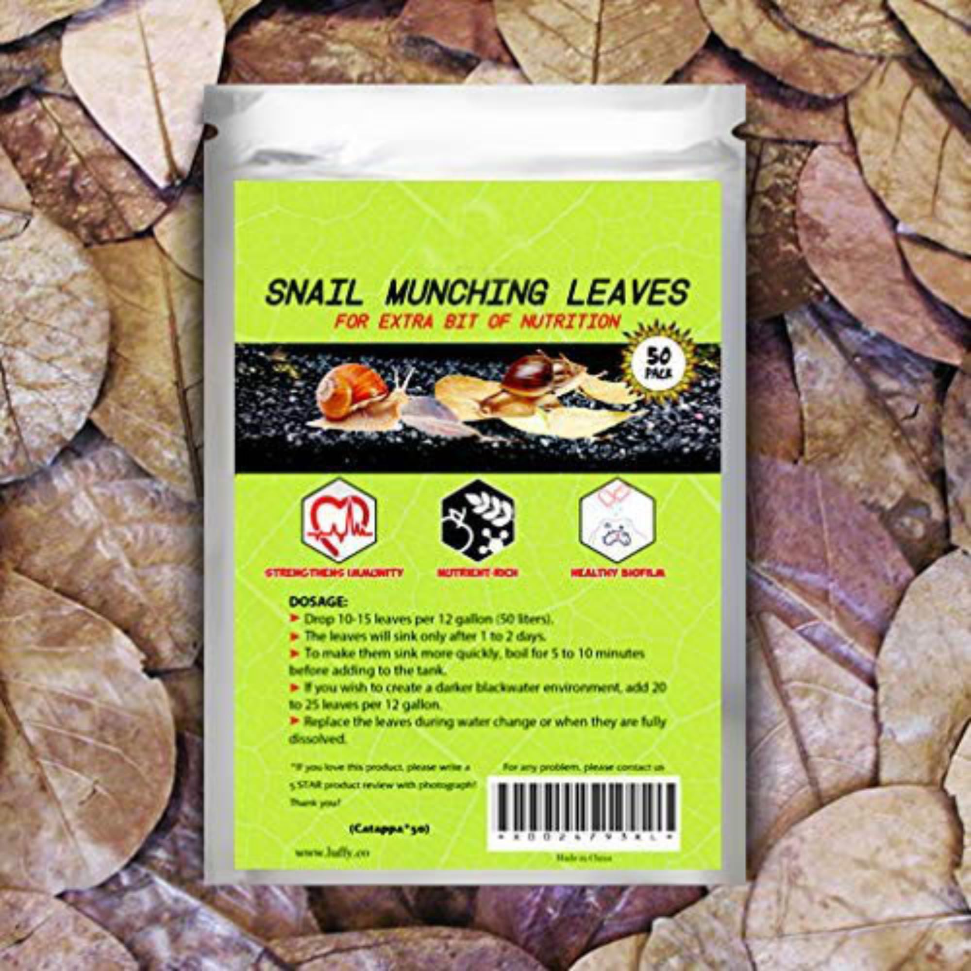 SunGrow mini Catappa leaves snail-snack for natural feeding and enrichment.