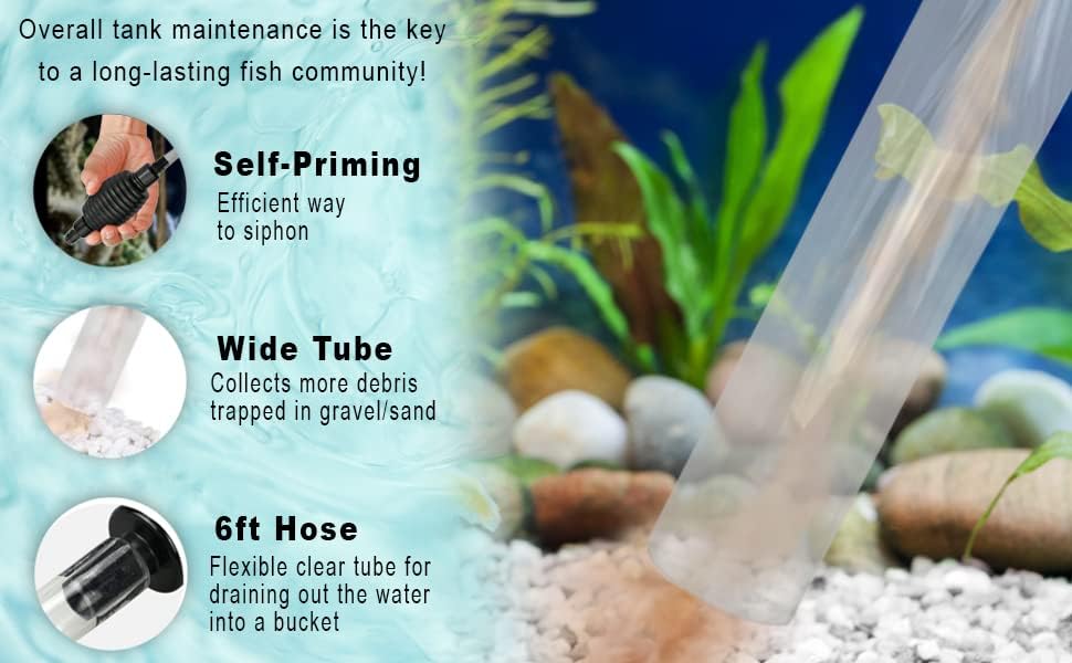 SunGrow no-spill design keeps water transfer clean and controlled